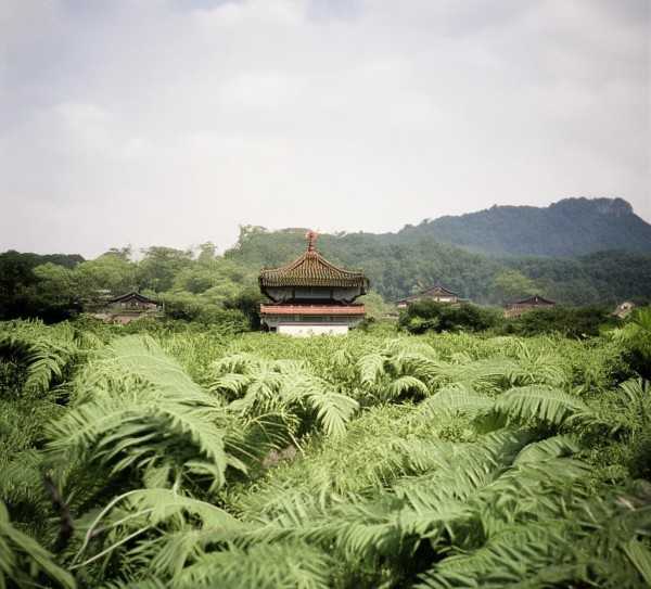日丽风和的智慧传承